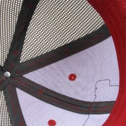 Howies Lottery Pick Cap 23 Howies Lottery Pick Cap -Hockey Sale Store 1683907381 HowiesTheLotteryPickCapRed4